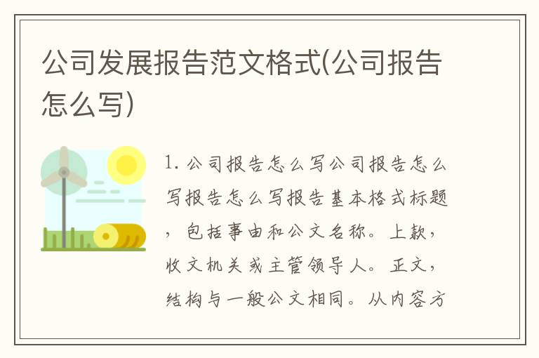 公司发展报告范文格式(公司报告怎么写)