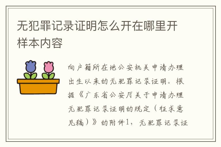 无犯罪记录证明怎么开在哪里开样本内容
