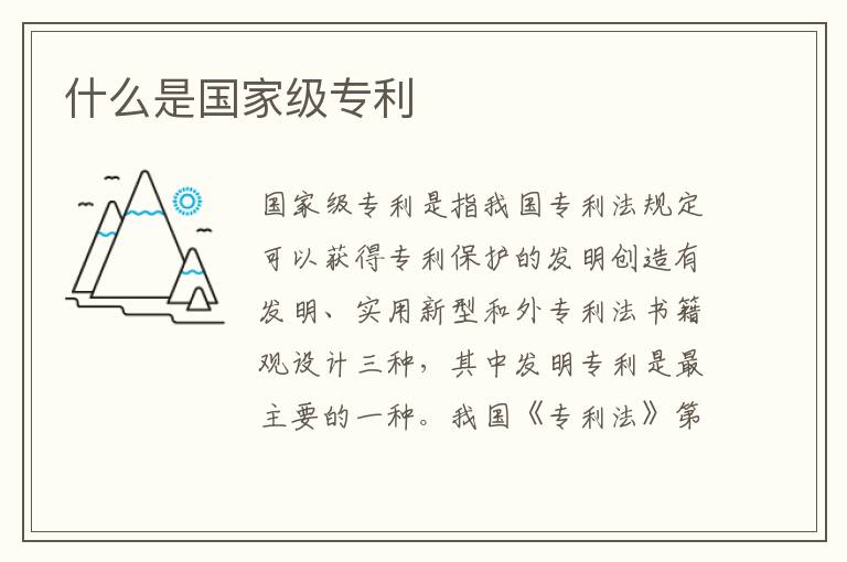 什么是国家级专利