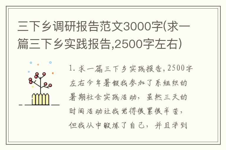 三下乡调研报告范文3000字(求一篇三下乡实践报告,2500字左右)
