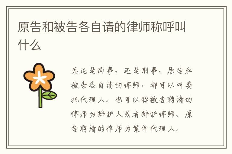 原告和被告各自请的律师称呼叫什么