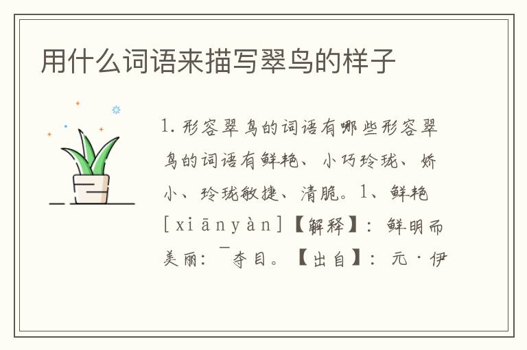 用什么词语来描写翠鸟的样子