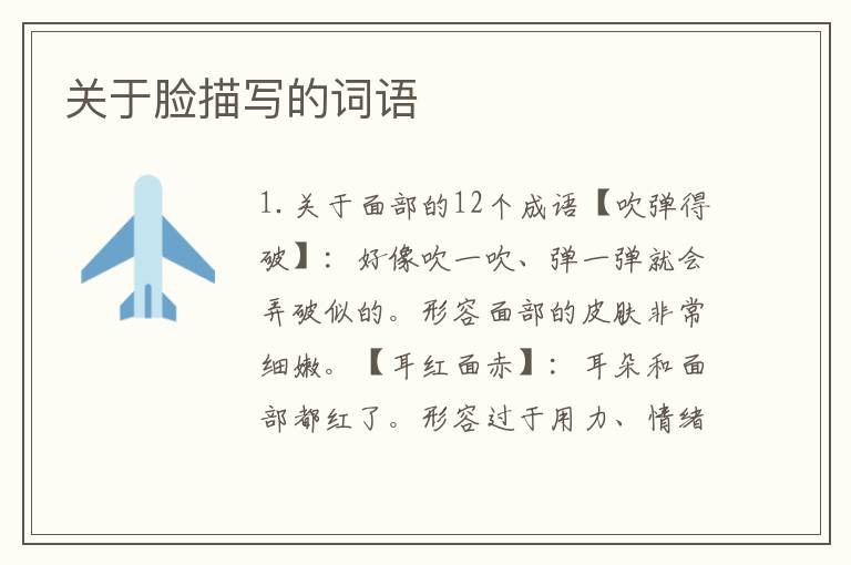 关于脸描写的词语