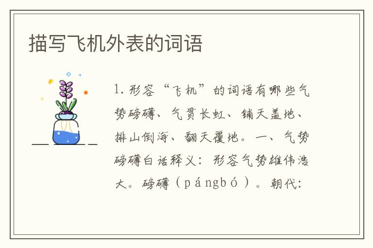 描写飞机外表的词语
