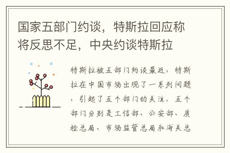 国家五部门约谈，特斯拉回应称将反思不足，中央约谈特斯拉