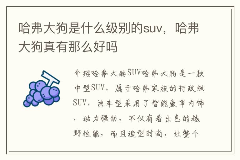 哈弗大狗是什么级别的suv，哈弗大狗真有那么好吗