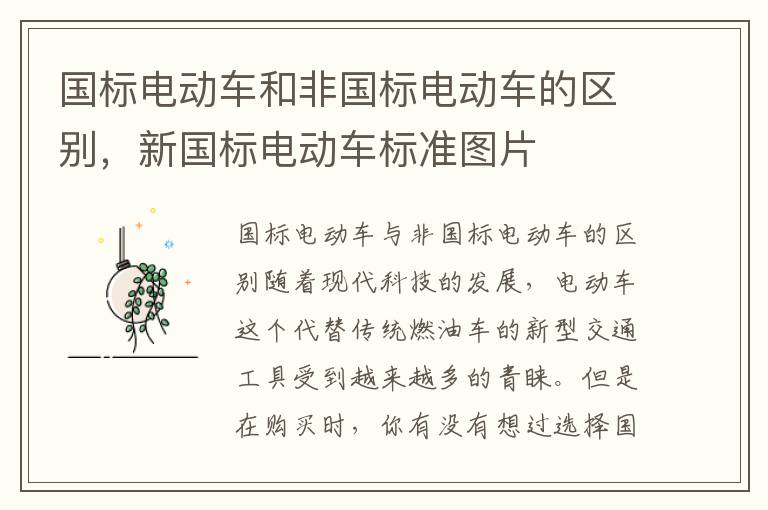 国标电动车和非国标电动车的区别，新国标电动车标准图片