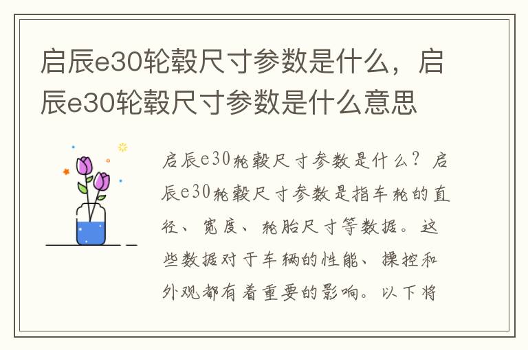 启辰e30轮毂尺寸参数是什么，启辰e30轮毂尺寸参数是什么意思