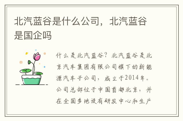 北汽蓝谷是什么公司,北汽蓝谷是国企吗
