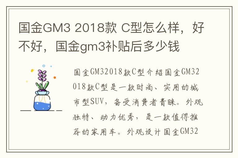 国金GM3 2018款 C型怎么样，好不好，国金gm3补贴后多少钱