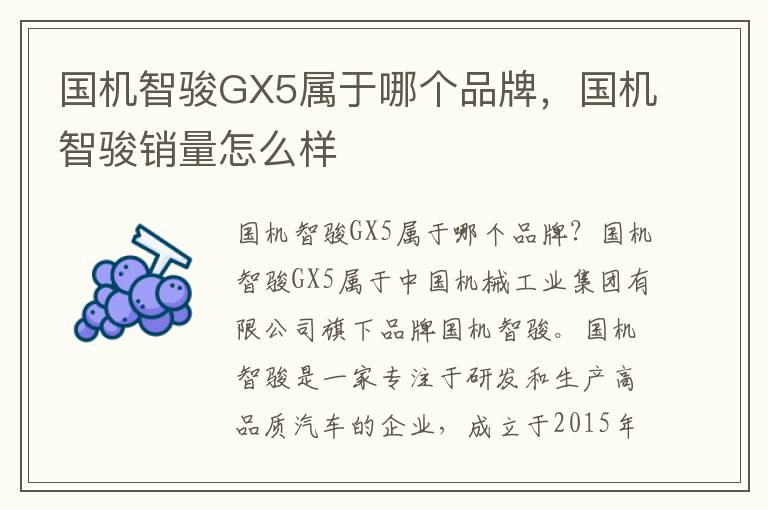 国机智骏GX5属于哪个品牌，国机智骏销量怎么样