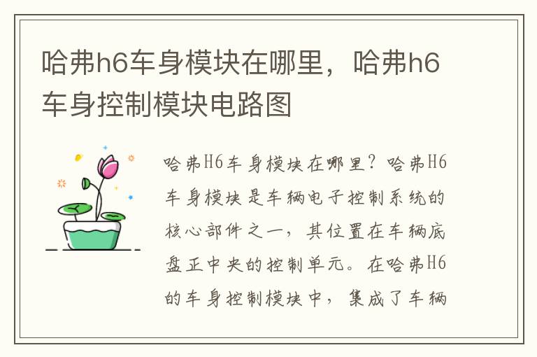 哈弗h6车身模块在哪里，哈弗h6车身控制模块电路图