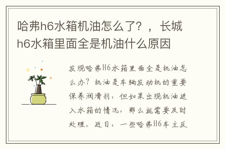 哈弗h6水箱机油怎么了？，长城h6水箱里面全是机油什么原因