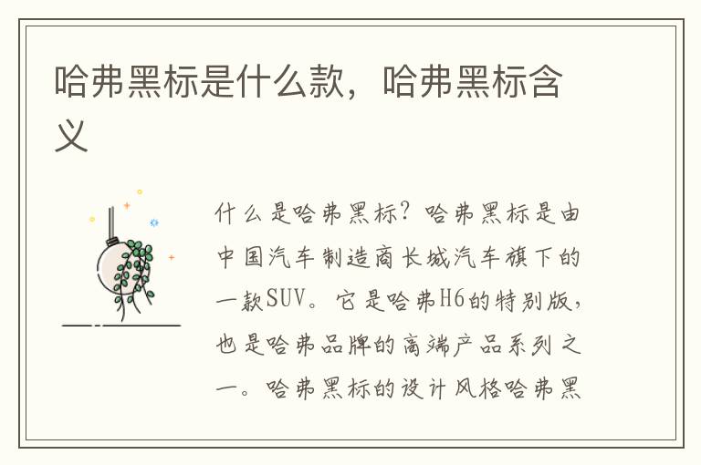 哈弗黑标是什么款，哈弗黑标含义