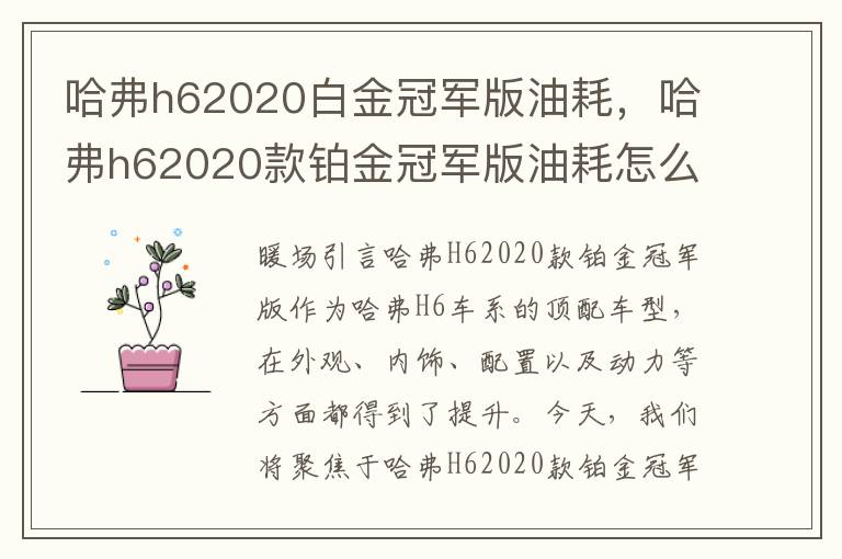 哈弗h62020白金冠军版油耗，哈弗h62020款铂金冠军版油耗怎么样