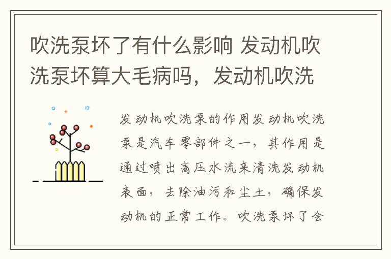 吹洗泵坏了有什么影响 发动机吹洗泵坏算大毛病吗，发动机吹洗泵有故障怎么办