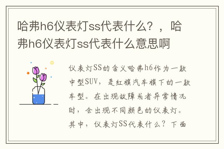 哈弗h6仪表灯ss代表什么？，哈弗h6仪表灯ss代表什么意思啊