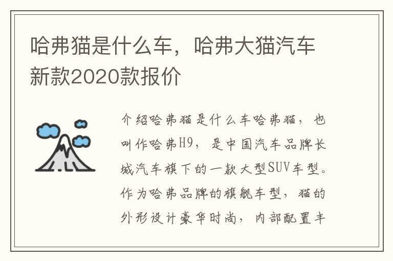 哈弗猫是什么车，哈弗大猫汽车新款2020款报价
