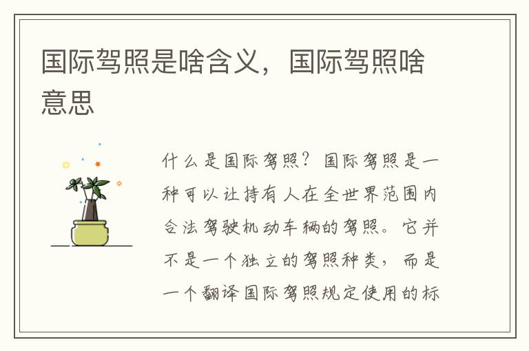 国际驾照是啥含义，国际驾照啥意思
