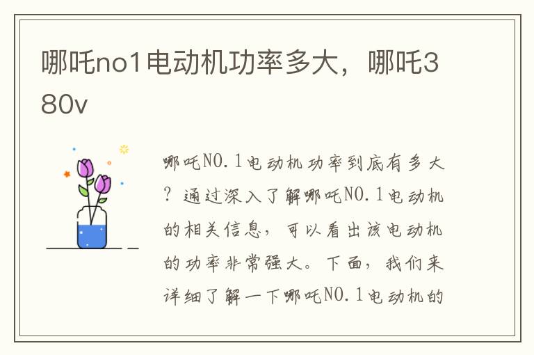 哪吒no1电动机功率多大，哪吒380v