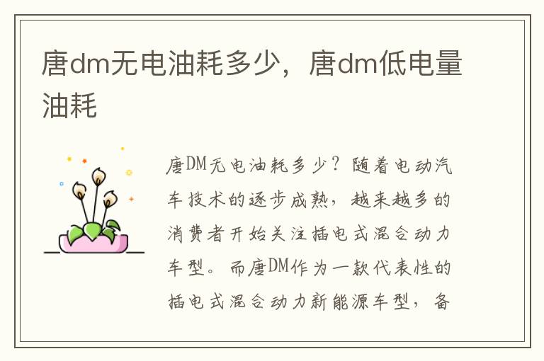 唐dm无电油耗多少，唐dm低电量油耗