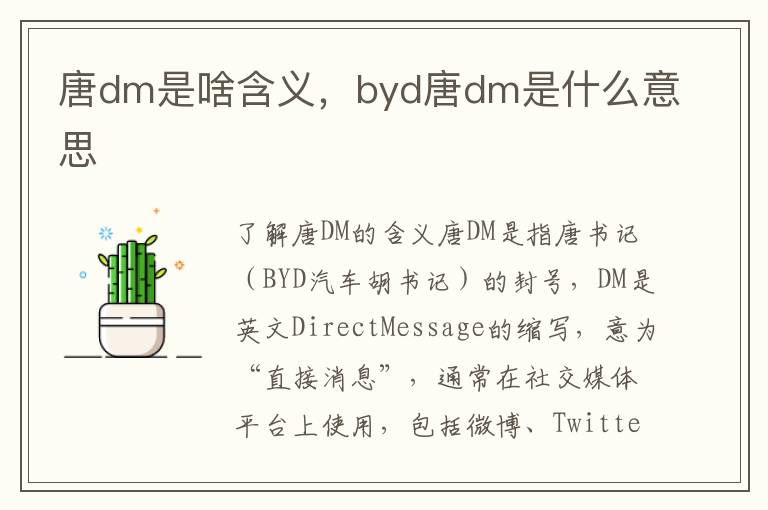 唐dm是啥含义，byd唐dm是什么意思