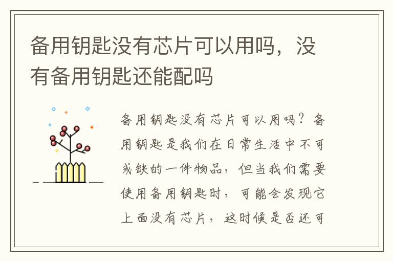 备用钥匙没有芯片可以用吗，没有备用钥匙还能配吗