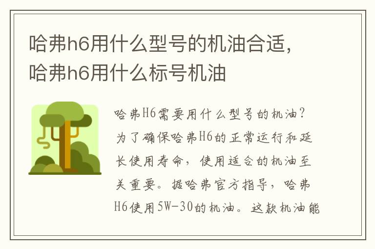 哈弗h6用什么型号的机油合适，哈弗h6用什么标号机油