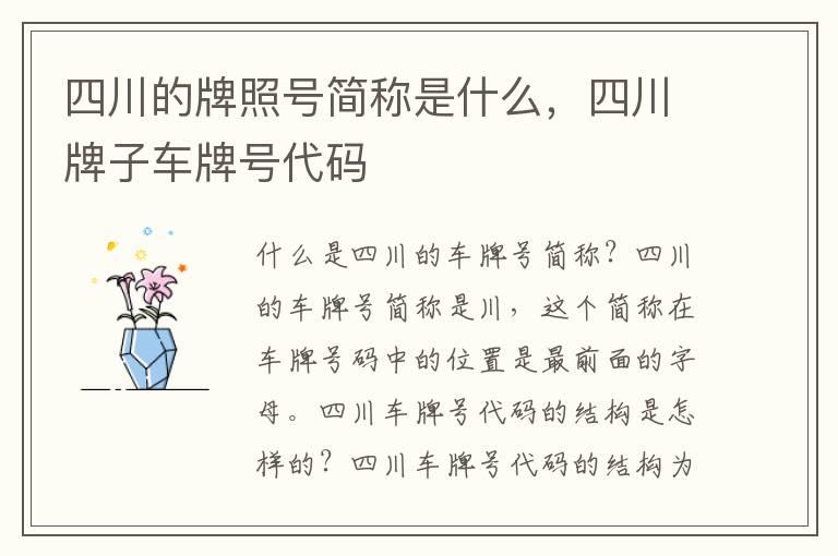 四川的牌照号简称是什么，四川牌子车牌号代码