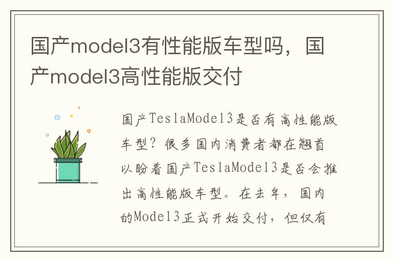 国产model3有性能版车型吗，国产model3高性能版交付