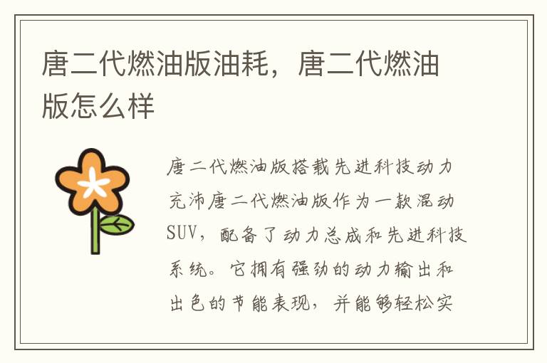 唐二代燃油版油耗，唐二代燃油版怎么样