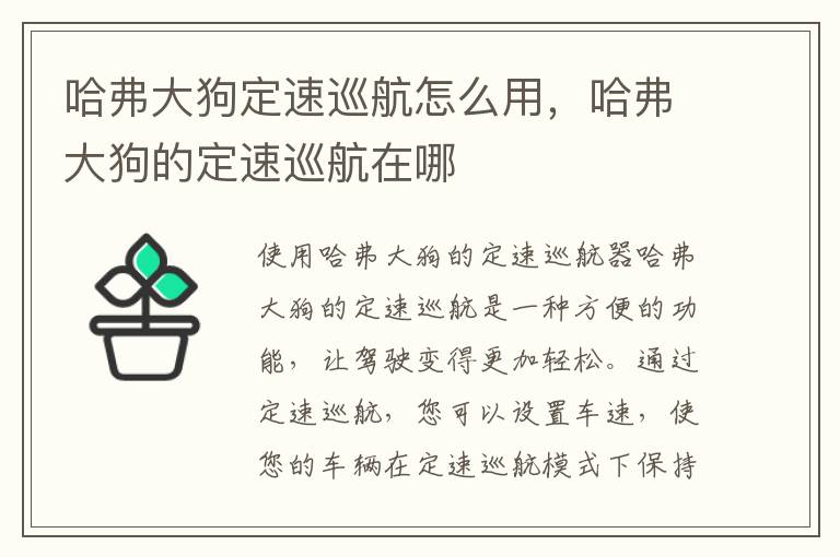 哈弗大狗定速巡航怎么用，哈弗大狗的定速巡航在哪