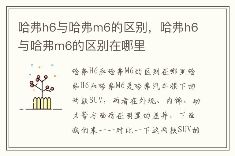哈弗h6与哈弗m6的区别，哈弗h6与哈弗m6的区别在哪里