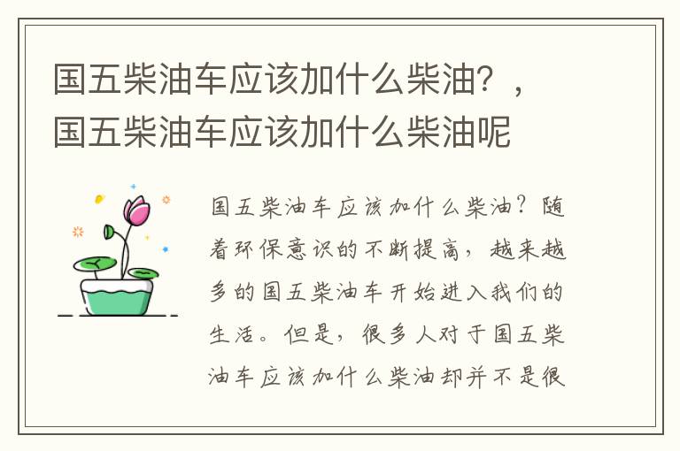 国五柴油车应该加什么柴油？，国五柴油车应该加什么柴油呢