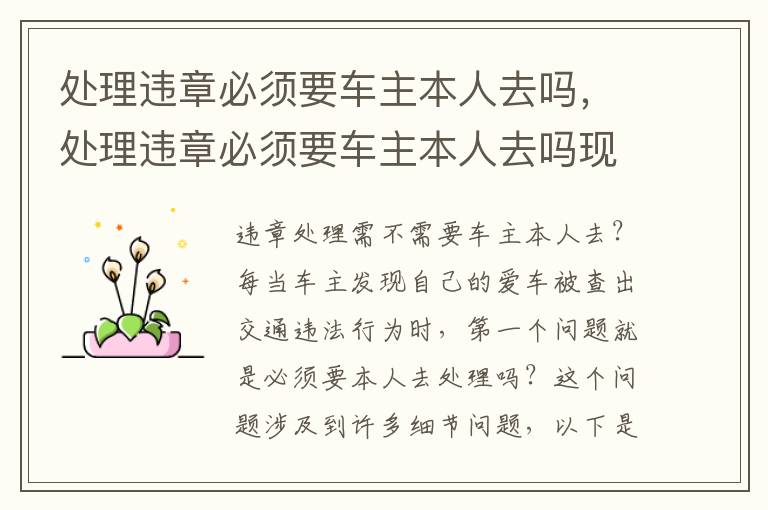 处理违章必须要车主本人去吗，处理违章必须要车主本人去吗现在