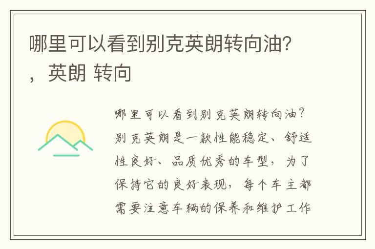 哪里可以看到别克英朗转向油？，英朗 转向