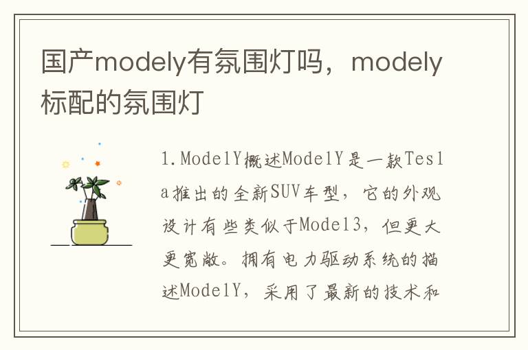 国产modely有氛围灯吗，modely标配的氛围灯