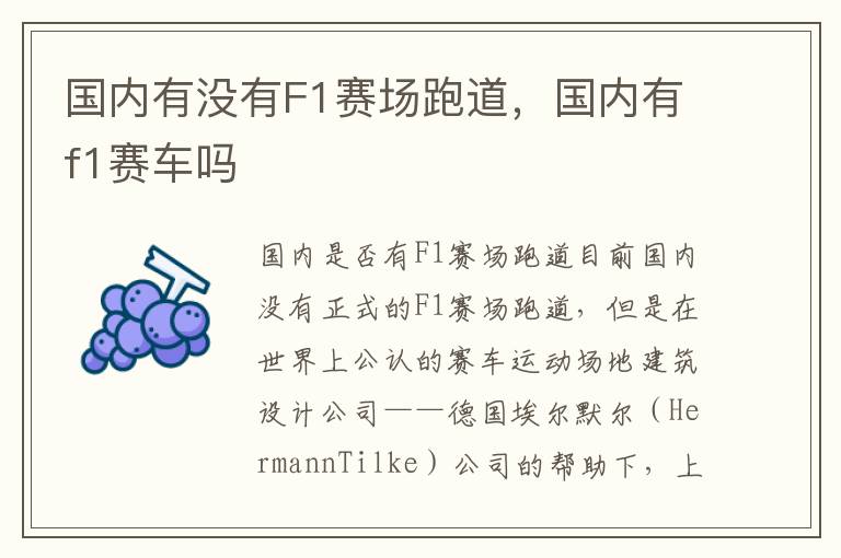 国内有没有F1赛场跑道，国内有f1赛车吗