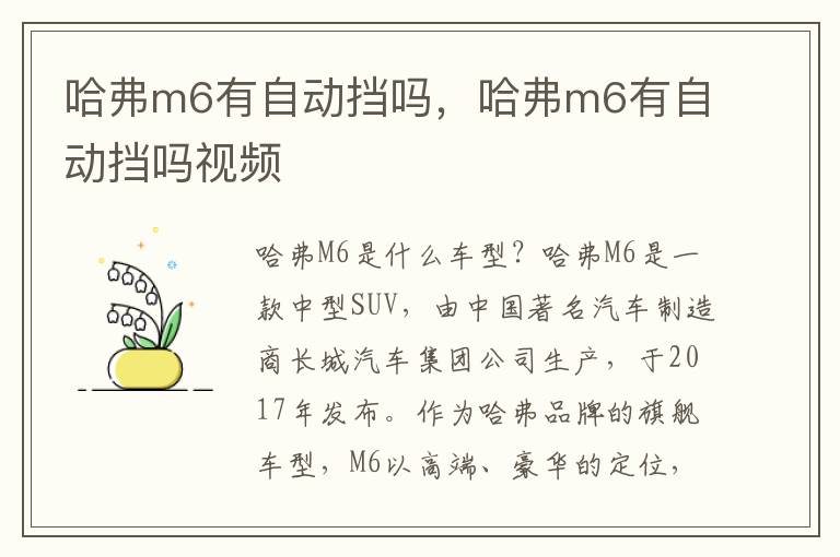 哈弗m6有自动挡吗，哈弗m6有自动挡吗视频