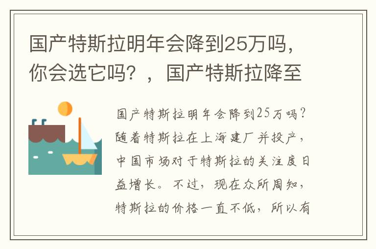 国产特斯拉明年会降到25万吗，你会选它吗？，国产特斯拉降至20万