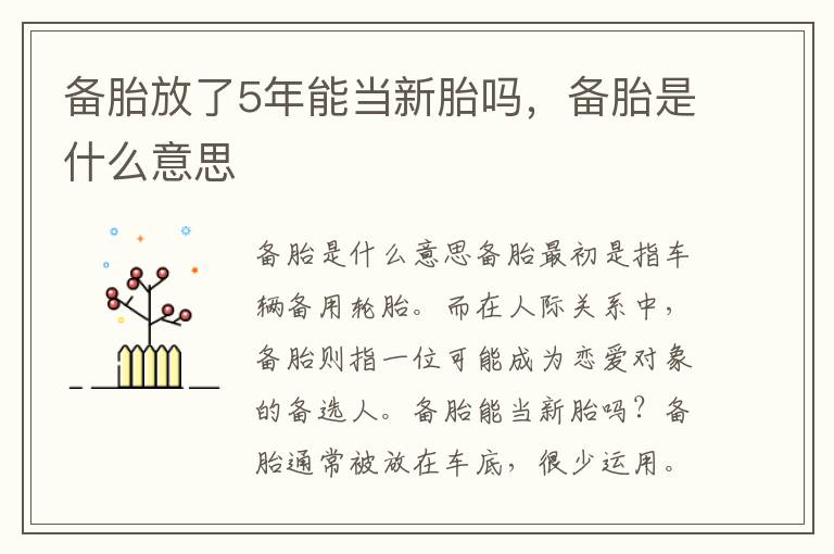 备胎放了5年能当新胎吗，备胎是什么意思
