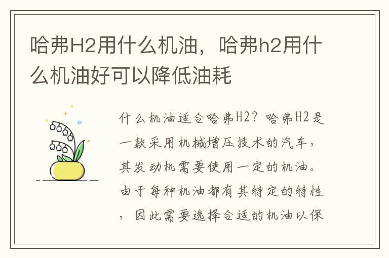 哈弗H2用什么机油，哈弗h2用什么机油好可以降低油耗