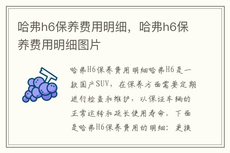 哈弗h6保养费用明细，哈弗h6保养费用明细图片