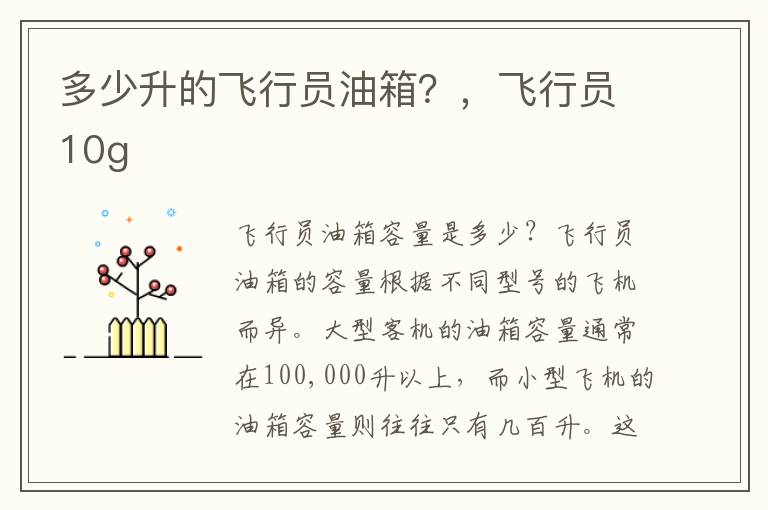 多少升的飞行员油箱？，飞行员10g